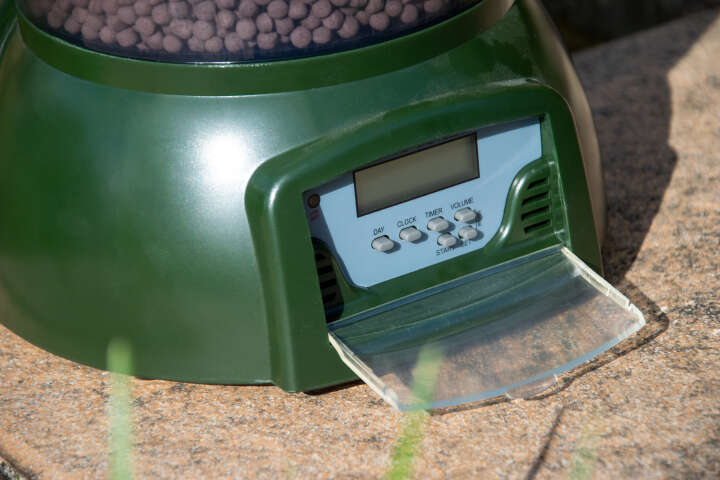 dobar Teichfischfutterautomat